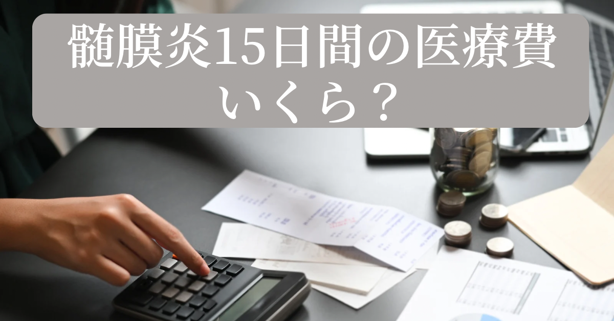 髄膜炎に入院費用